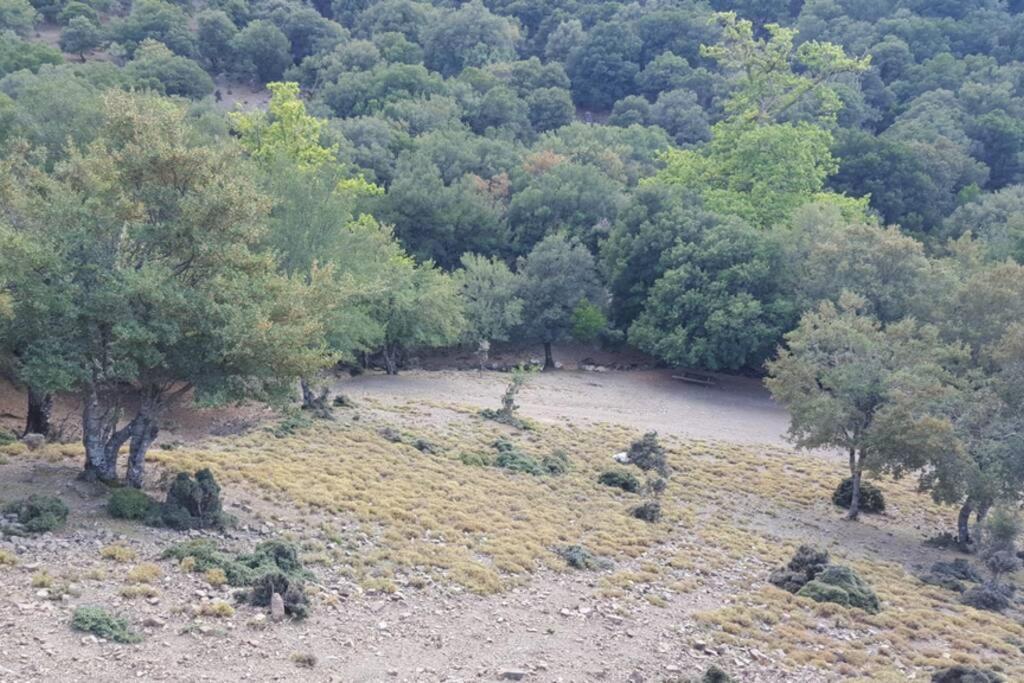 Villa Strata Kardhamiana Dış mekan fotoğraf